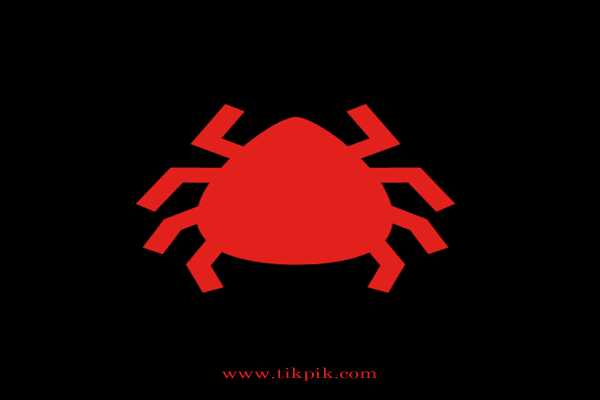Guitar Pick Thin | Tic Pic | Tik Pik
